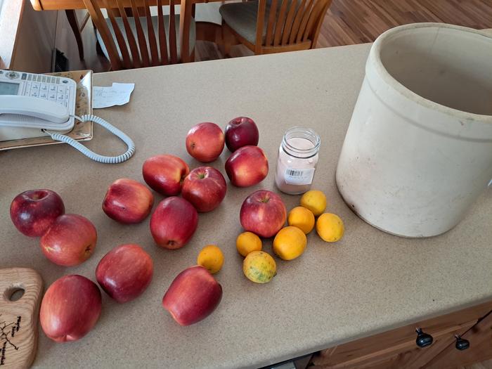 Fermented apple ingredients