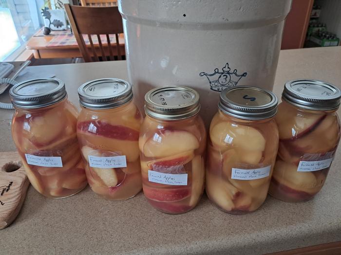 Fermented apple in labeled quart jars