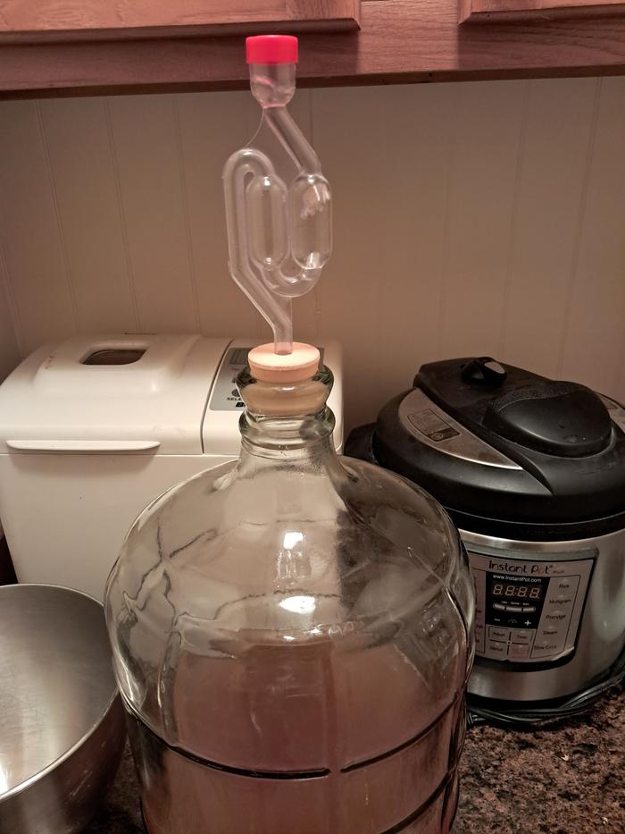 Fermenting (bubble in air lock)