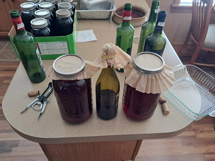 even more ready to ferment