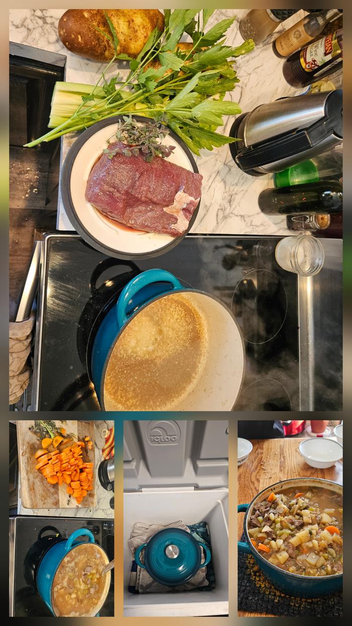 Elk stew