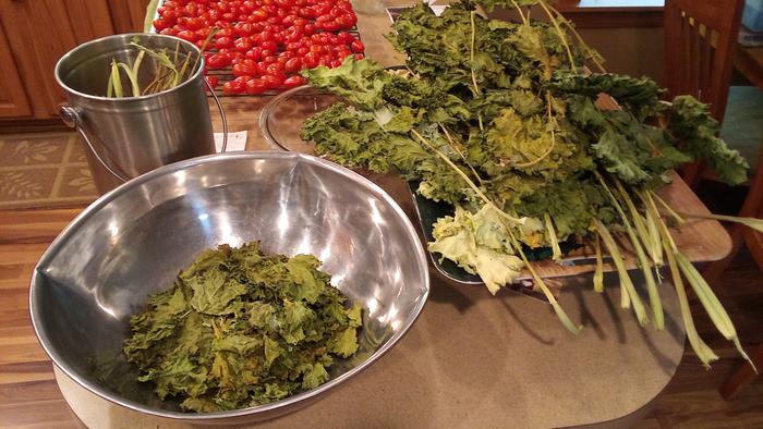 kale dry (tray is enamel)