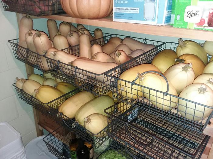 Sw potatoes at the far upper left, butternuts and spaghettti squash in the bins