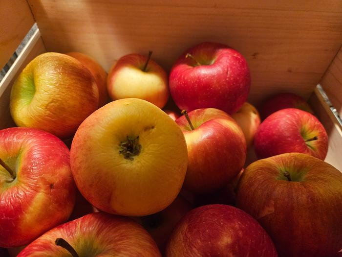 2 months after the apples are stored, they are still lovely. Just a little wrinkling