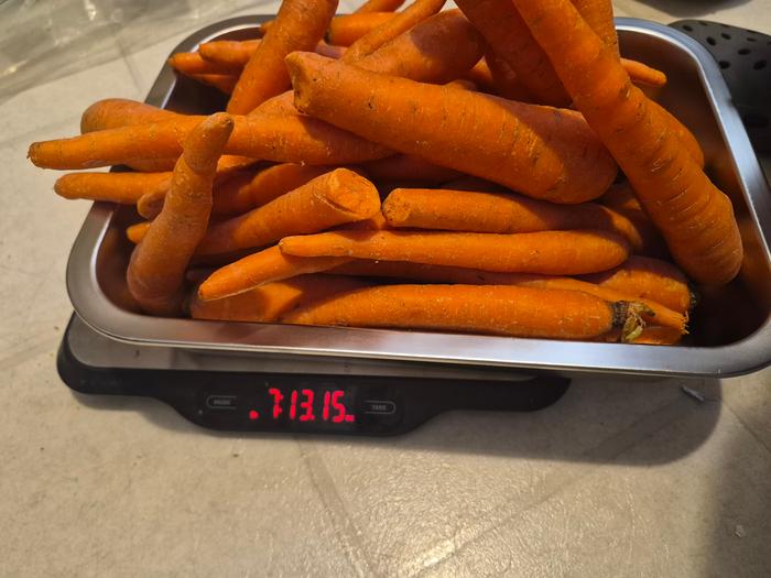 Carrots 1