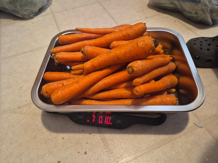 Carrots 2
