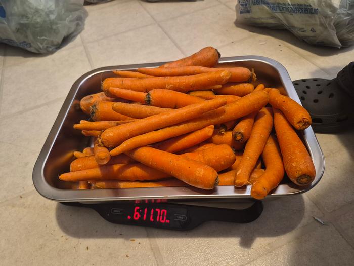 Carrots 3