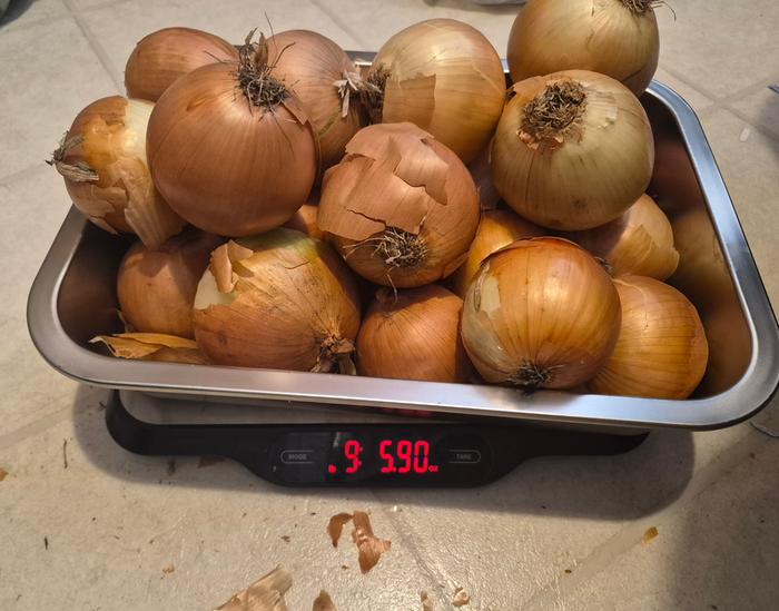 Onions 2