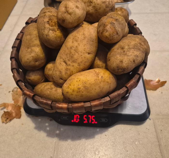 Potatoes 1