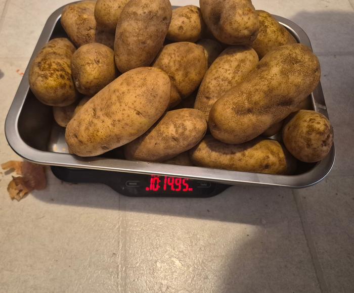 Potatoes 2