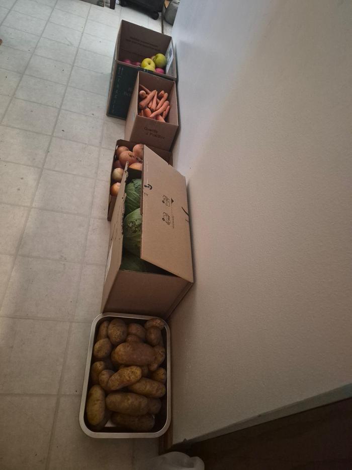 Stored food in house