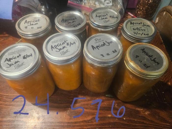 Apricot jam, over 1 gallon