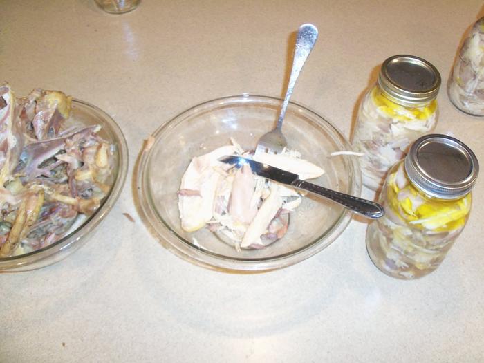 Prepping chicken chunks to can