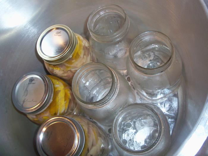 Today's 5 birds in their three jars. Yesterday's 6 birds are in the pantry. More broth goes in the other four jars.