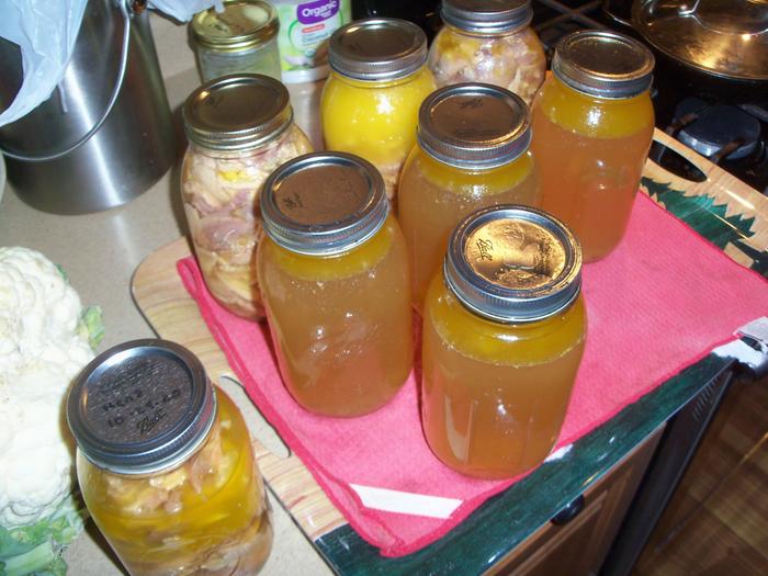 Three freshly canned quarts of chicken (back row) plus a visit from yesterday's hens in the foreground.