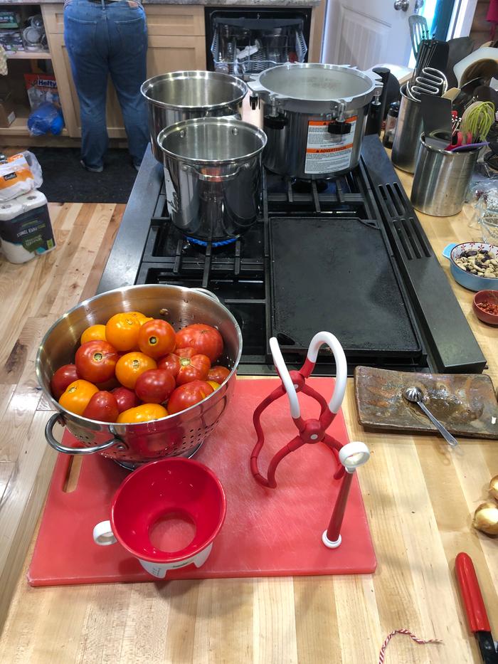 Tomatoes ready to be poached, peeled, simmered, and crushed. 