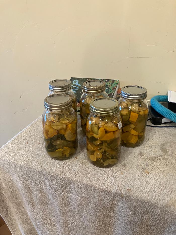Jars are on a towel, I added another towel over the top to avoid temperature shock.
