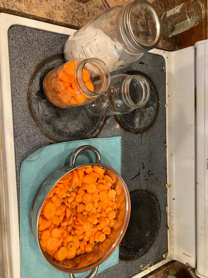 Carrots were harvested, washed, peeled and sliced. Time to add to the jars with a little bit of canning salt and water.