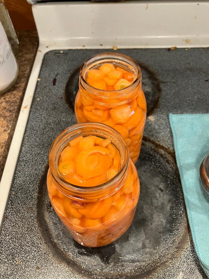 Full jar. I don’t have the fancy headspace measuring tool, but I’ve gotten pretty good at eye-balling it thanks to some guidance from my grandma whose been pressure canning things for over 50 years!