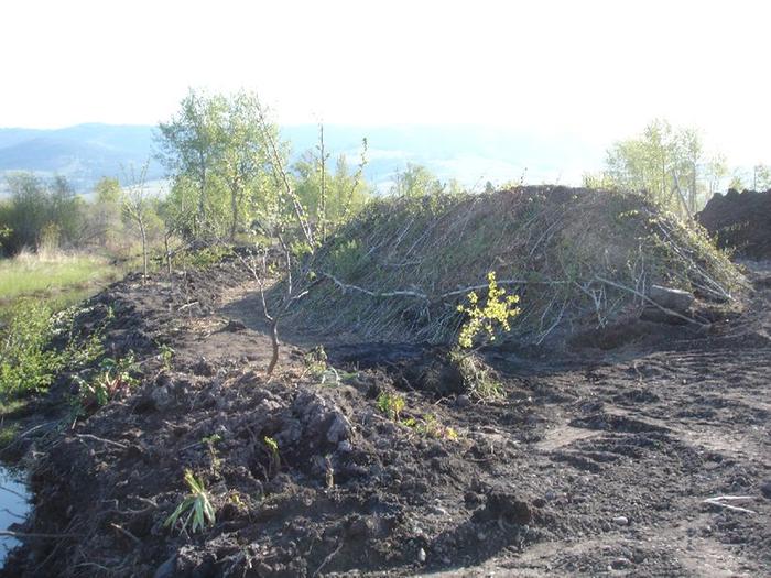 [Thumbnail for Montana-5-2012-86.jpg]