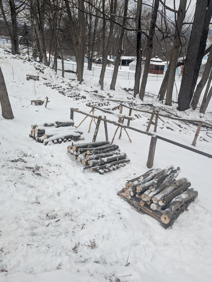 [Thumbnail for PXL_20260102_150452795.MP.jpg]