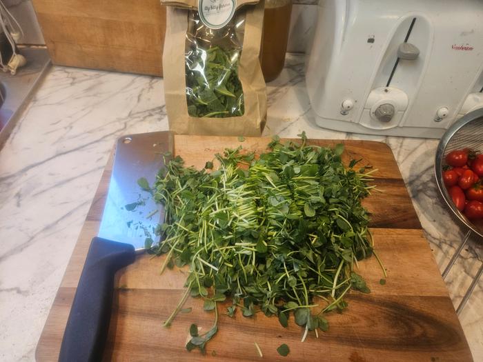 Chopping micro greens