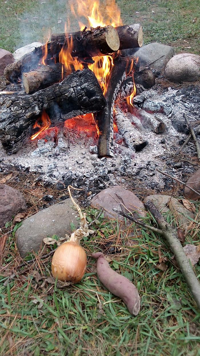 Onion and sweet potato destined for the coals