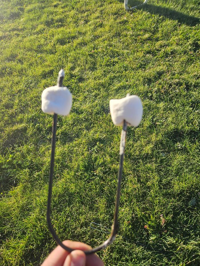 Raw mallows, ready to roast