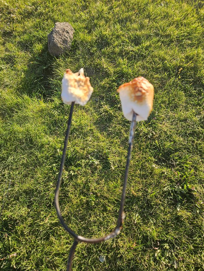 Toasted, golden mallows