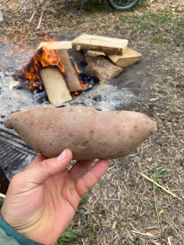 [Thumbnail for 2_prepared-the-sweet-potato.JPG]