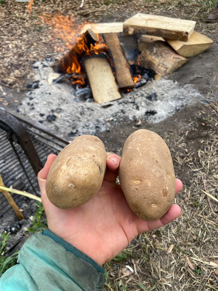 [Thumbnail for 3_prepared-the-potatoes.JPG]