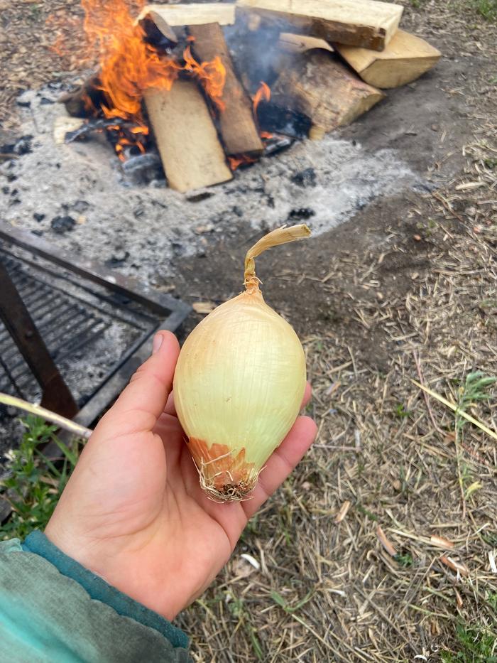 [Thumbnail for 4_prepared-the-onion.JPG]