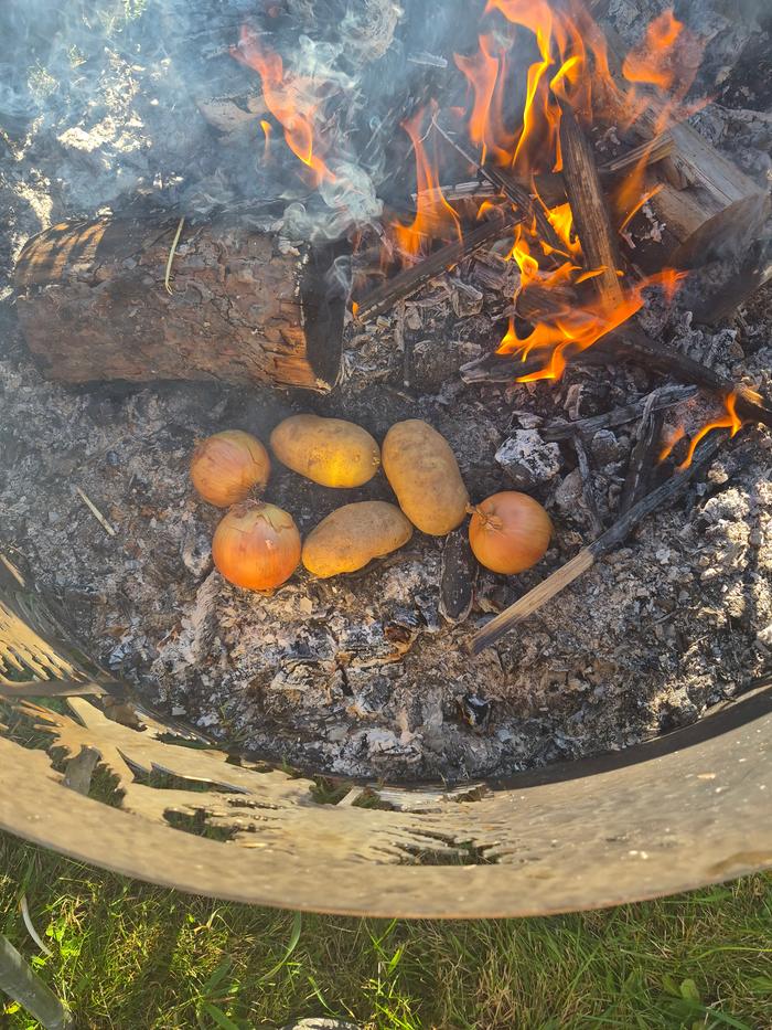 Cooking onions and potatoes 