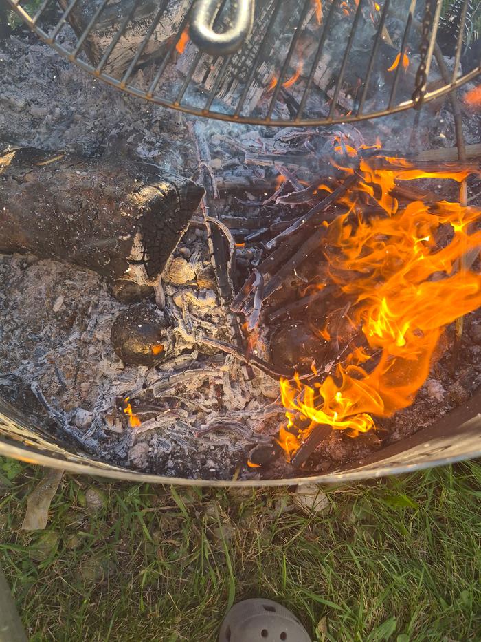 Onions and potatoes under coals