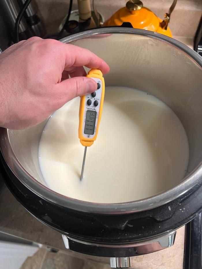 Making yogurt for cheese