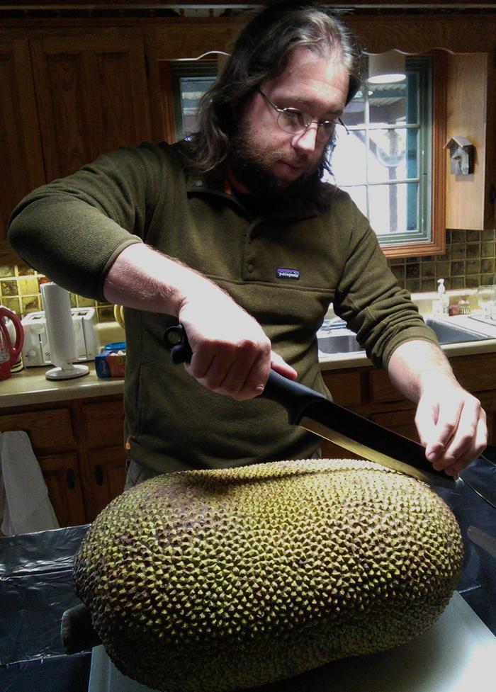 Tblankinship vs Jackfruit (I won in the end.)