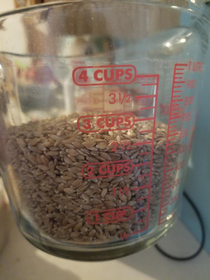 einkorn 2 cups before grinding 
