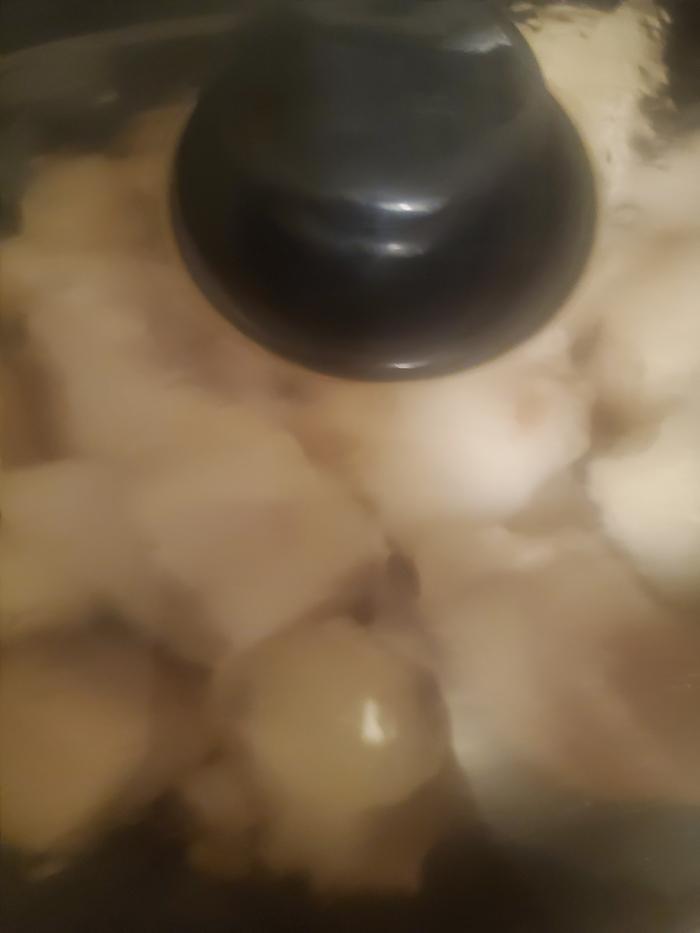 chunks of fat being rendered into lard