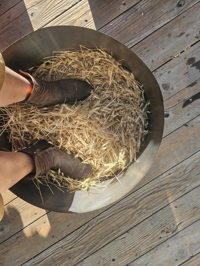 Threshing