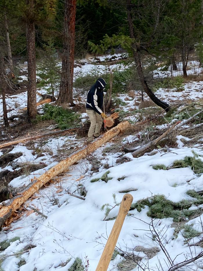 Dez peeling a log late last week 
