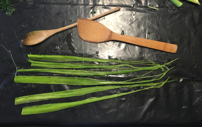 Spoons worked best - the larger flat spoon for pounding on the leaves and the narrower spoon to remove the wax and chlorophyll layer