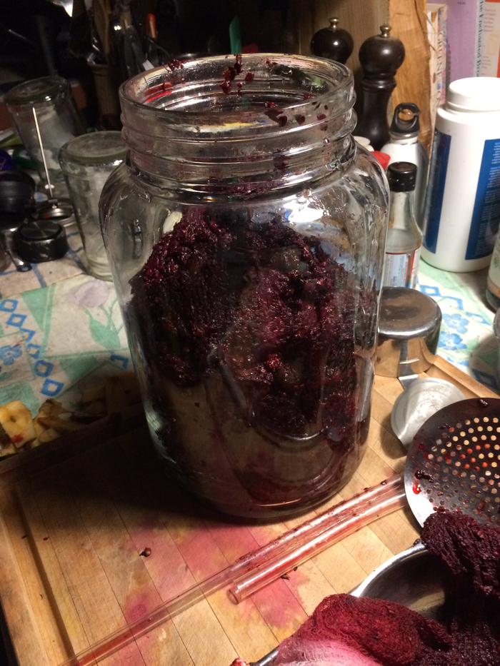 Black berry pulp/seeds in a large Jar