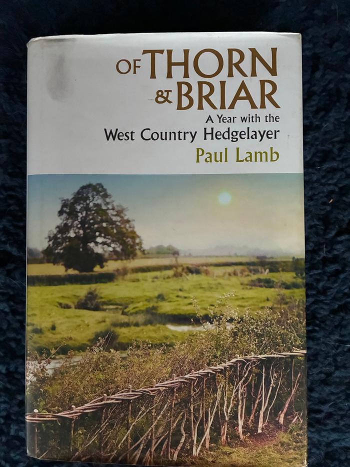 [Thumbnail for IMG_1027.jpeg]