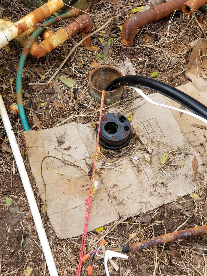 [Thumbnail for 20201107_140615.jpg]