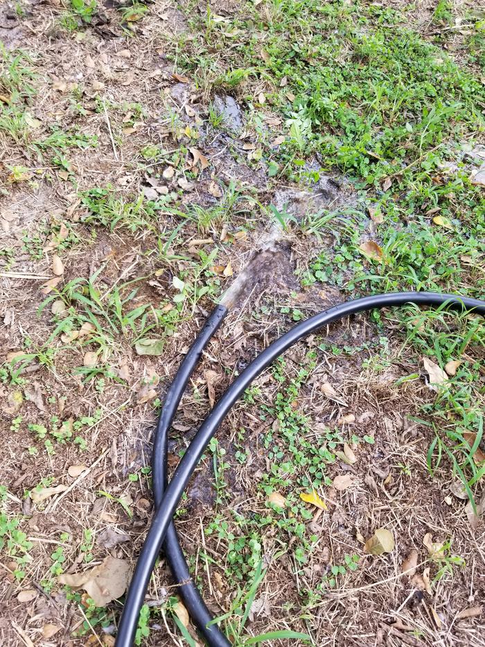 [Thumbnail for 20201107_140319.jpg]