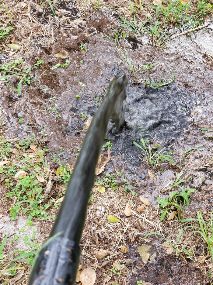 [Thumbnail for 20201107_140401.jpg]