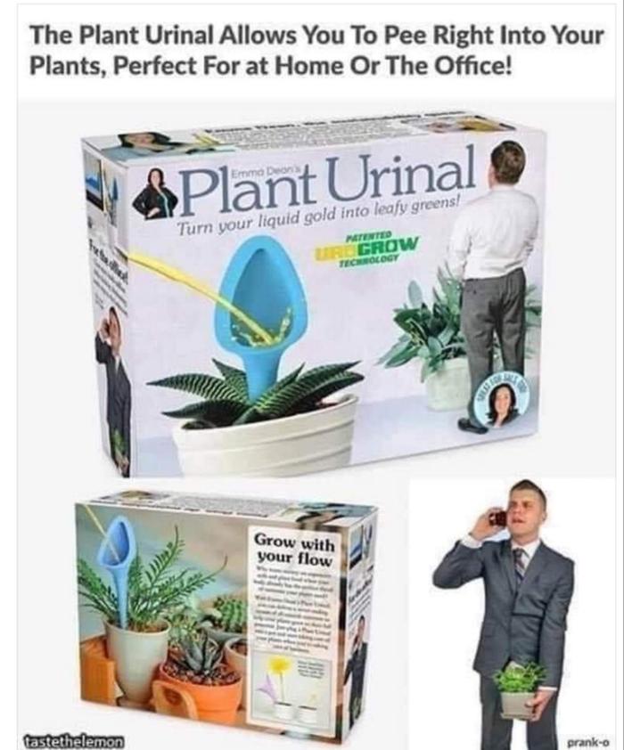 [Thumbnail for IMG_20201101_162114.jpg]