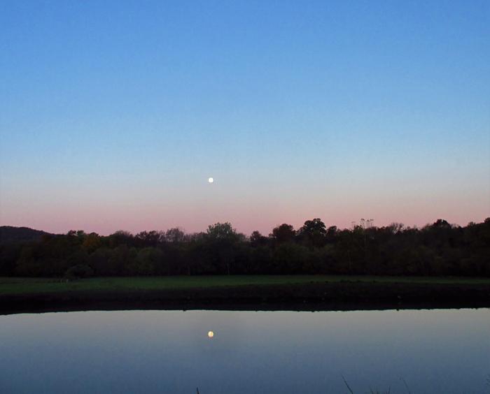 reflected in neighbors pond