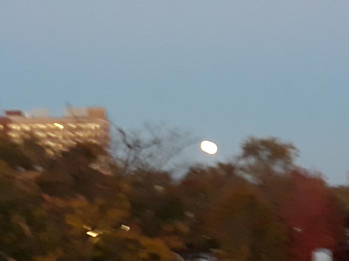 Moonrise