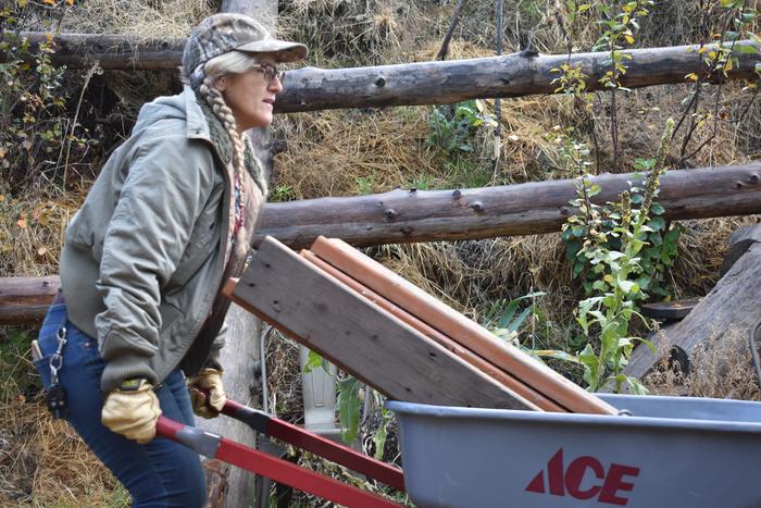 [Thumbnail for BRC_0767.JPG]